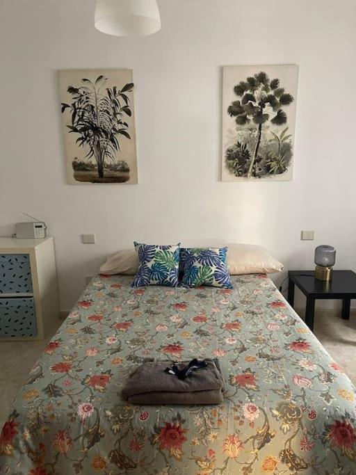 Apartament Oasis Las Palmas de Gran Canaria Zewnętrze zdjęcie